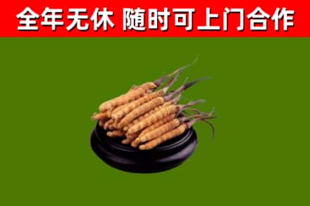 达州烟酒回收冬虫夏草.jpg